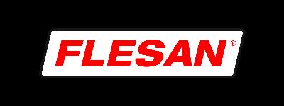 Flesan S.a 
