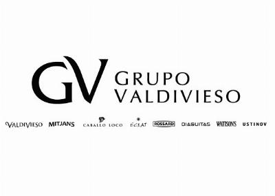 Grupo Valdivieso 